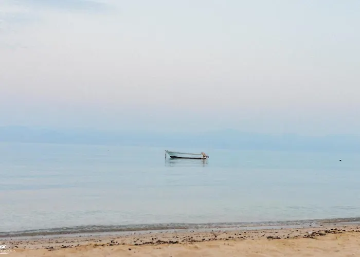 The Sea Side Camp * Nuweiba`