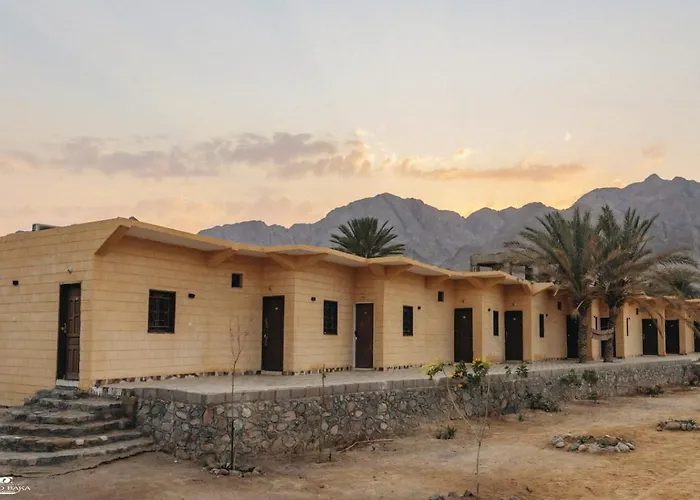 The Sea Side Camp Nuweiba`