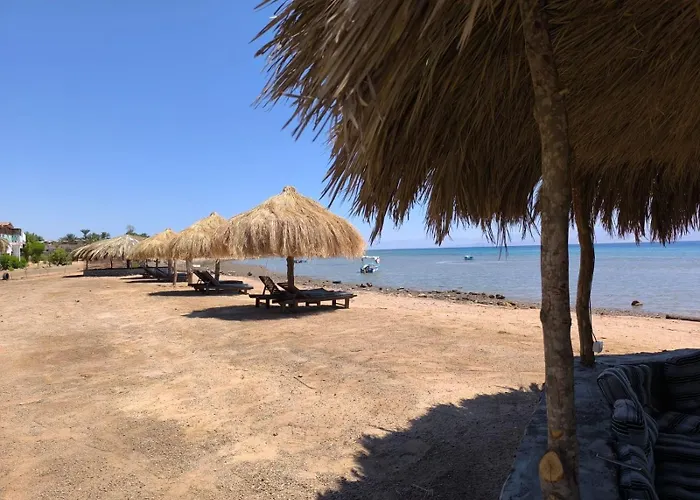 The Sea Side Camp