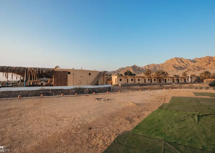 The Sea Side Camp Nuweiba`